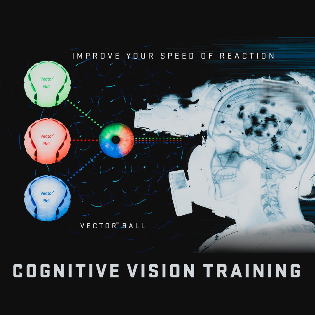 Entrainement-visuel-et-cognitif-avec-Vector-Ball Khimaira Strategy Tactics