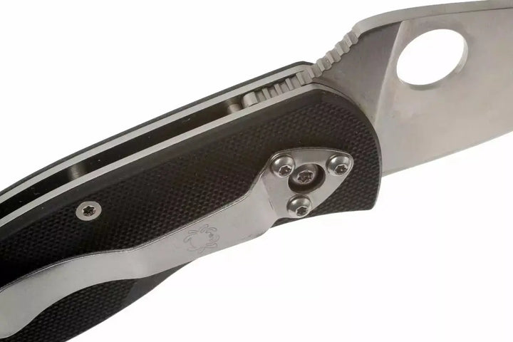 Spyderco Ambitious Spyderco