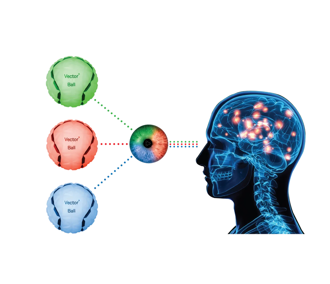 VECTOR BALL - TRAINING VISION COGNITIVE VECTOR BALL