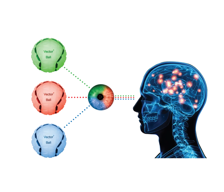 VECTOR BALL - TRAINING VISION COGNITIVE VECTOR BALL