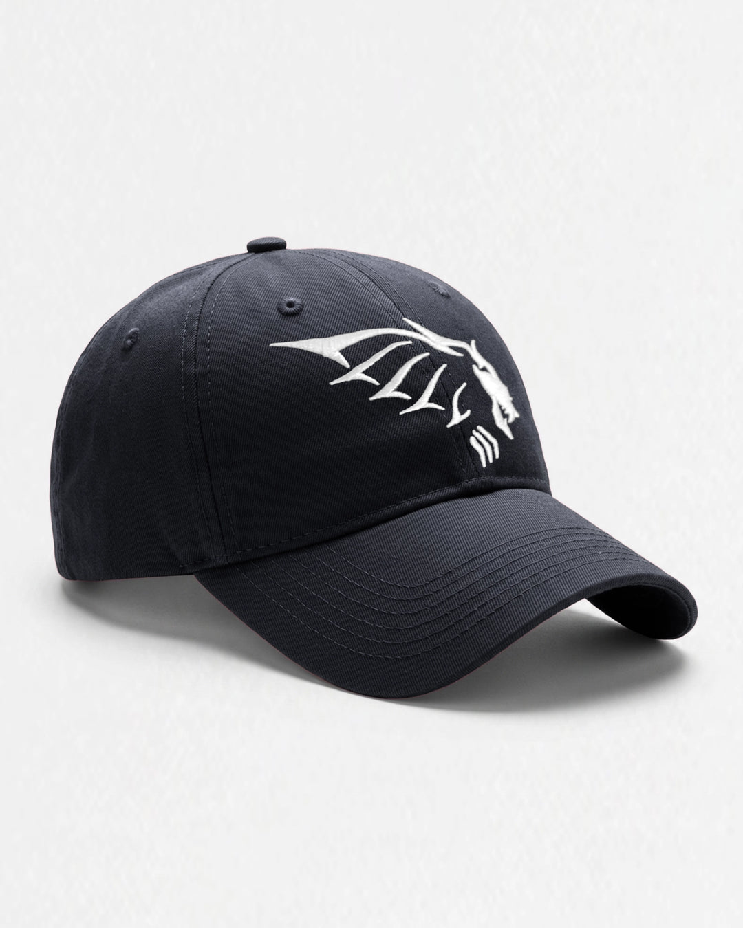Casquette ICON Dad hat